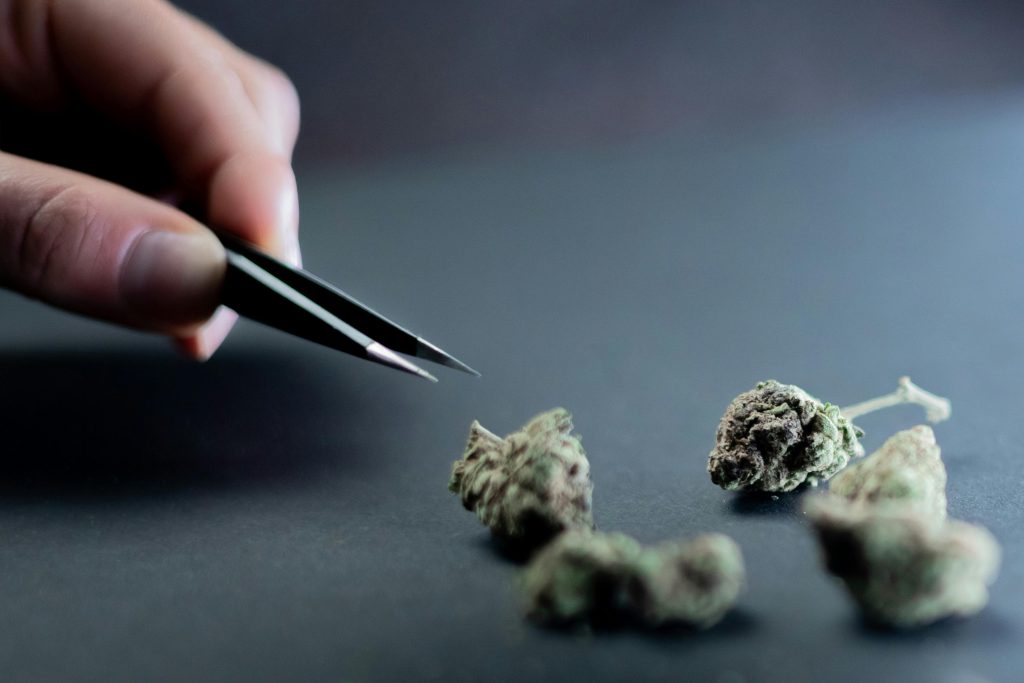 Cannabis Flower