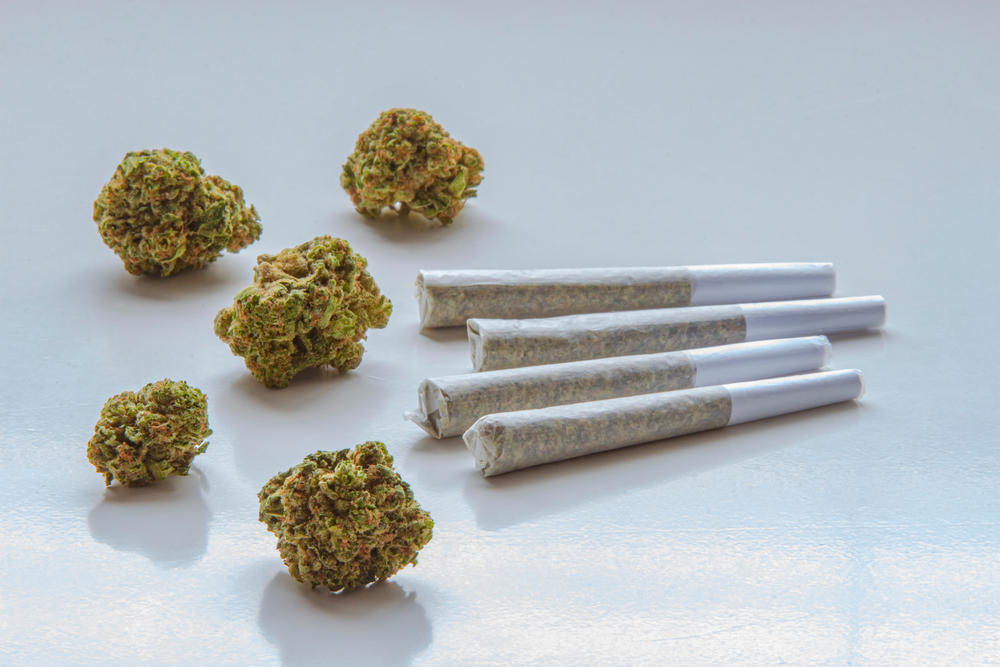 Dried,Flower,Marijuana,And,Pre-rolls,Cannabis,Joints,On,A,Clear