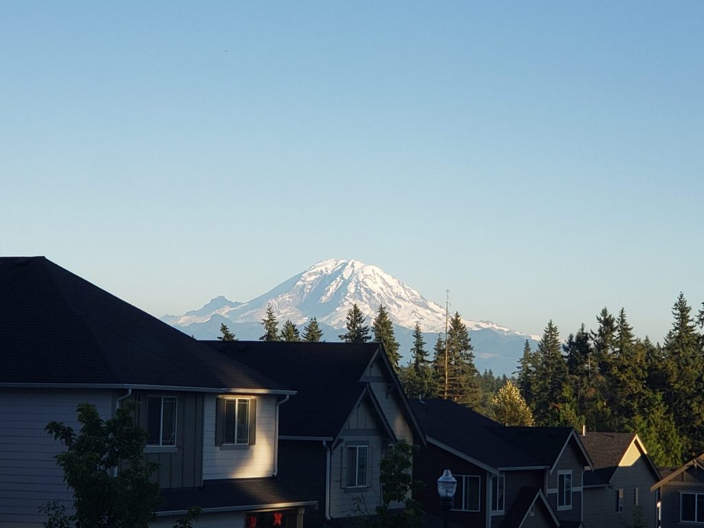 Snow-capped Mount Rainier viewed behind suburban houses and tall evergreen trees
